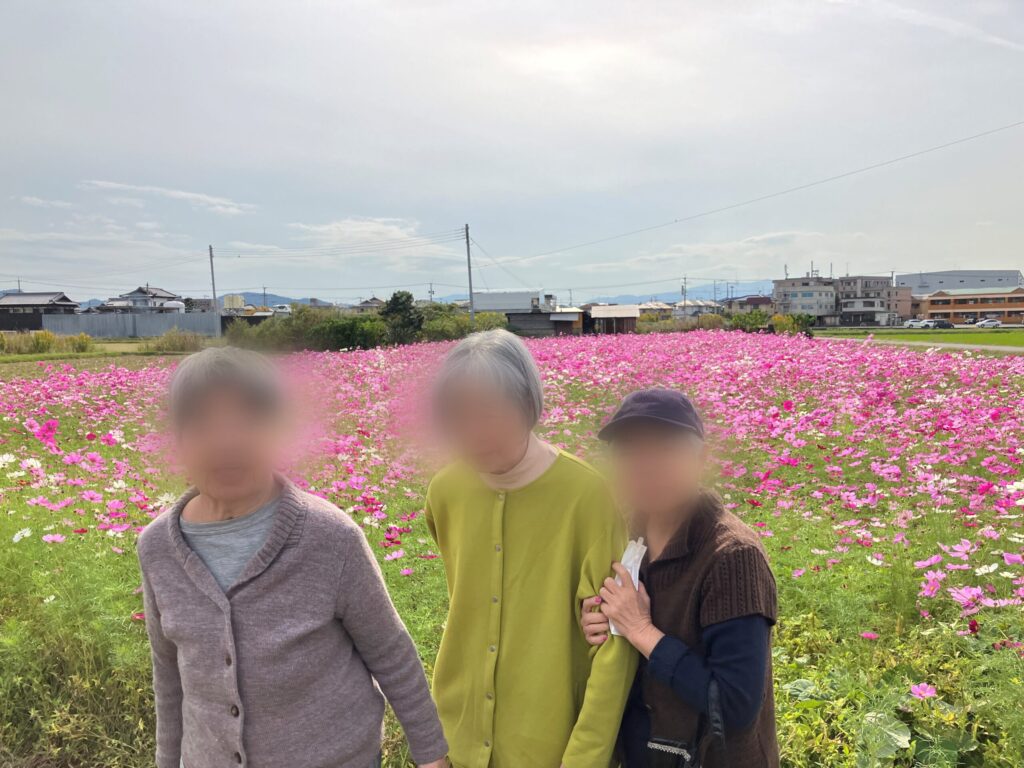 コスモス畑へのサムネイル画像