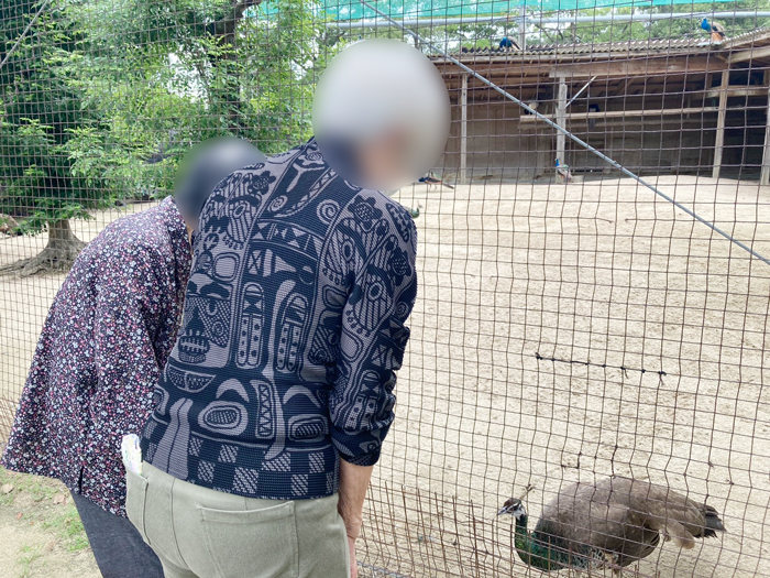 line_oa_chat_250926_132149_group_5