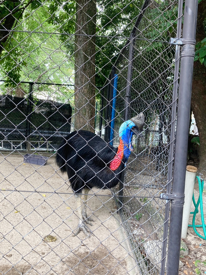 line_oa_chat_250926_132149_group_6