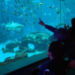 【前編】マリンワールドへのバスハイク🚌