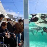 【後編】マリンワールドへのバスハイク🚌