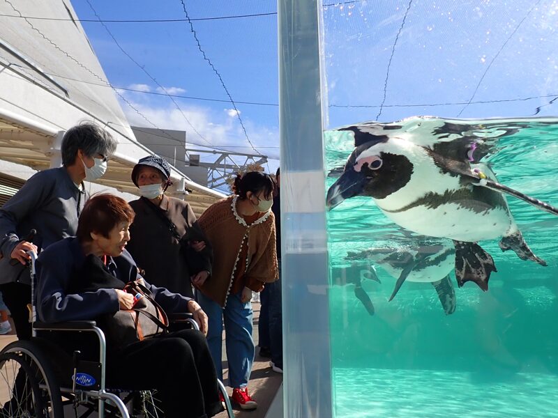 【後編】マリンワールドへのバスハイク🚌のサムネイル画像